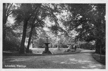(388-535-023) Schiedam Plantage beschikbaar voor biedingen