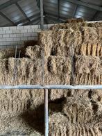 Kleine hooipakken, Dieren en Toebehoren, Dierenvoeding, Ophalen, Vee