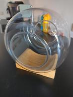 IKEA Varldsligt terrarium, Overige kleuren, Ophalen of Verzenden, Minder dan 50 cm, Glas