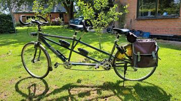 Multicycle tandem 53-47, type Collective, bouwjaar 2000 beschikbaar voor biedingen