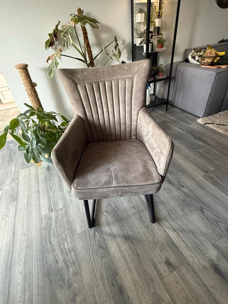 Boomstam Eettafel met 4 Stoelen, Huis en Inrichting, Stoelen, Gebruikt, Vier, Stof, Grijs, Ophalen