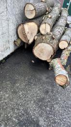 Kachelhout - 2 M3 op stam, Minder dan 3 m³, Ophalen, Overige houtsoorten, Stammen