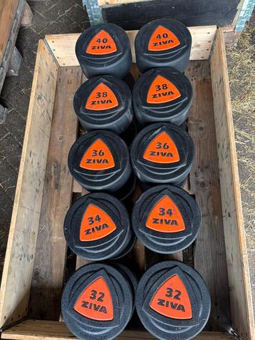 Ziva Dumbbellset 32-40kg - Zo goed als nieuw! beschikbaar voor biedingen