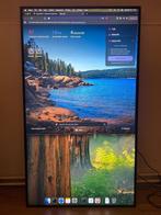 Professioneel 65" Iiyama ProLite 4K Display (LH6542UHS-B3), Computers en Software, Monitoren, Ophalen, IPS, Ultra HD (4K), Ingebouwde speakers