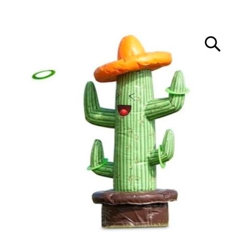 Ringgooispel cactus, Spelcomputers en Games, Games | Overige, Zo goed als nieuw, 3 spelers of meer, Vanaf 3 jaar, Ophalen