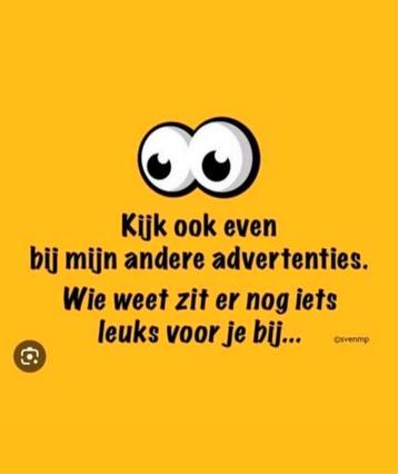 KISS SINGEL  beschikbaar voor biedingen