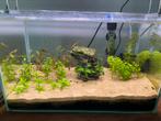 Compleet Aquarium 25L, Dieren en Toebehoren, Vissen | Aquaria en Toebehoren, Ophalen, Zo goed als nieuw, Verlichting of Verwarming