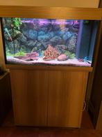 Juwel Rio 125 liter aquarium LED, Dieren en Toebehoren, Vissen | Aquaria en Toebehoren, Ophalen, Zo goed als nieuw, Gevuld zoetwateraquarium