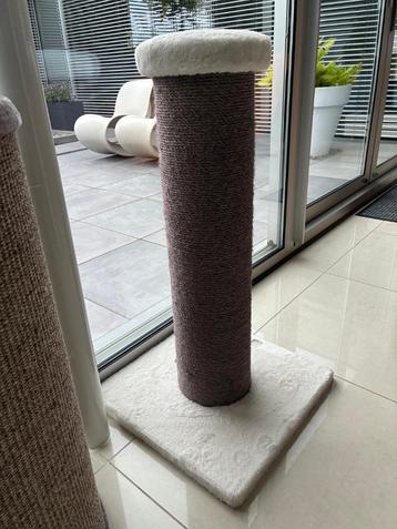 forse krabpaal  beschikbaar voor biedingen