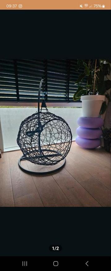 Leuke katten hangstoel beschikbaar voor biedingen