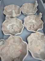 Plantenbakjes met kikker, Tuin en Terras, Ophalen