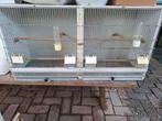 Dubbele broedkooi met lade's en nestkastjes, Dieren en Toebehoren, Vogels | Hokken en Kooien, Ophalen, Hout, Broedkooi of Kweekkooi