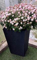 Mooi bloempot zonder plant, Tuin en Terras, Ophalen, Kunststof, Vierkant, Tuin