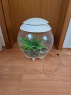 Biorb, Dieren en Toebehoren, Ophalen of Verzenden, Gebruikt, Leeg aquarium