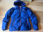 Puffer jas kort dons Adidas blauw paars mt xs, Kleding | Dames, Jassen | Winter, Nieuw, Maat 34 (XS) of kleiner, Blauw, Ophalen of Verzenden