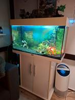 Juwel aquarium Rio 125 incl kast en veel toebehoren, Dieren en Toebehoren, Vissen | Aquaria en Toebehoren, Ophalen, Leeg aquarium