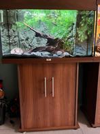 Juwel aquarium, Dieren en Toebehoren, Ophalen, Gebruikt, Leeg aquarium
