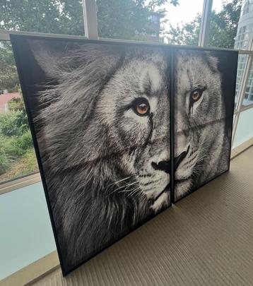 Groot Canvas Schilderij - Leeuw - 2 Delen beschikbaar voor biedingen