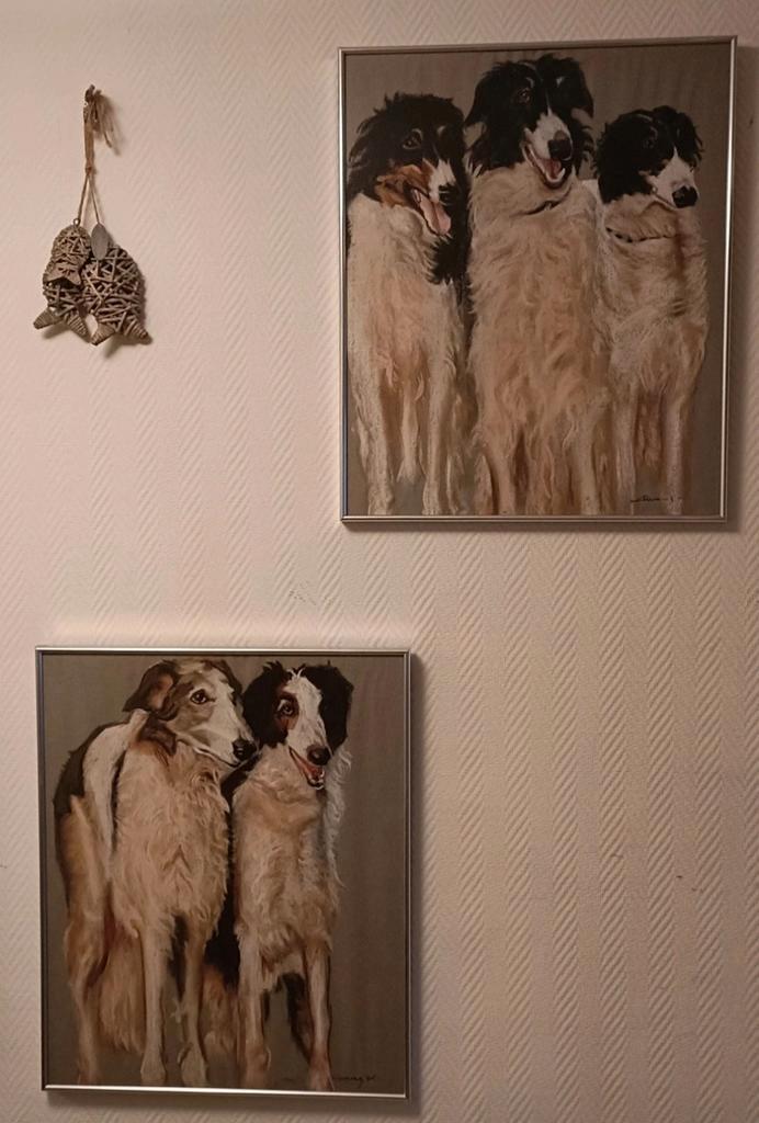 Borzoi honden schilderijen 60x50, Antiek en Kunst, Kunst | Schilderijen | Abstract, Ophalen of Verzenden