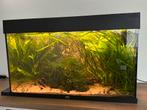 Zoetwater aquarium Juwel RIO 110L met LED verlichting, Dieren en Toebehoren, Vissen | Aquaria en Toebehoren, Ophalen, Gebruikt