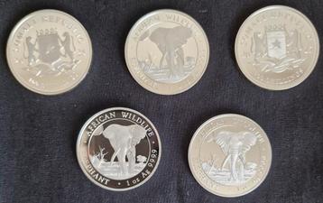 5x 1 oz Somali Elephant Zilver Munten 2025 beschikbaar voor biedingen