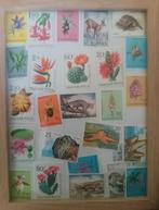 verzameling postzegels, Postzegels en Munten, Postzegels | Volle albums en Verzamelingen, Ophalen of Verzenden, Nederland en Buitenland