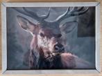 Nieuw schilderij van een hert - 33x45 cm, Ophalen of Verzenden