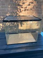 Gerbilhok /hamsterhok Queenies, Minder dan 75 cm, Zo goed als nieuw, Ophalen, Minder dan 60 cm