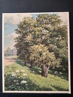 Noteboomen op de dijkglooiing getekend J Voerman, Natuur, Gebruikt, Verzenden, Voor 1940