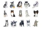 Honden Stickers – Scrapbooking Stickers, Nieuw, Ophalen of Verzenden, Meerdere stickers