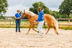 Myofasciale therapie, revalidatie begeleiding, nano cellcare, Dieren en Toebehoren, Paarden en Pony's | Overige Paardenspullen