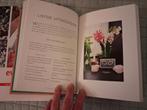 Nieuw boek: Rituelen voor elke dag, Ophalen of Verzenden, Nieuw, Spiritualiteit algemeen, Instructieboek