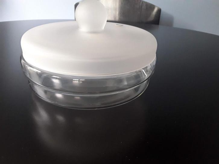 Glazen koekjesschaal met deksel.Kristalunie Maastricht.Stick, Antiek en Kunst, Antiek | Glas en Kristal, Ophalen of Verzenden