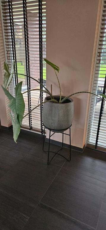 Plantenpot met Standaard  beschikbaar voor biedingen