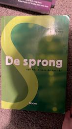 Maud Beersmans - De sprong, Maud Beersmans; Wim Tersteeg, Ophalen of Verzenden, Zo goed als nieuw, Nederlands