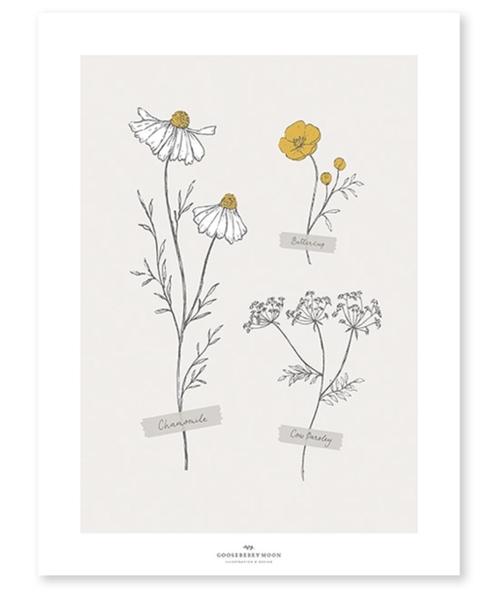 Kinderposter Muurposter Poster Wilde Bloemen Lilipinso, Kinderen en Baby's, Kinderkamer | Inrichting en Decoratie, Nieuw, Wanddecoratie