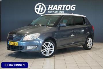 Skoda Fabia 1.2 TSI Dynamic + CRUISE CONTROL / AIRCO / MULTI beschikbaar voor biedingen