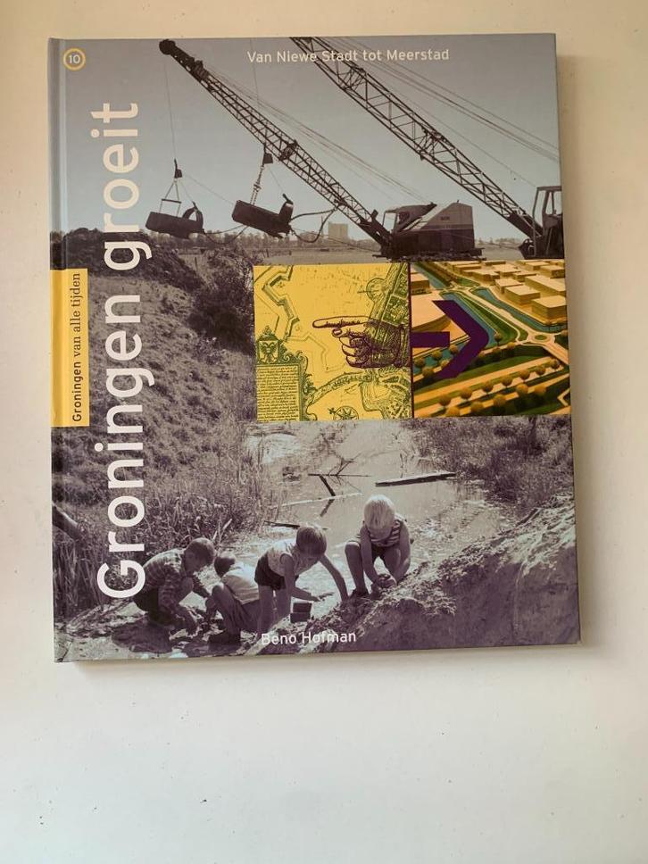 Groningen groeit van Niewe Stadt tot Meerstad Beno Hofman, Boeken, Geschiedenis | Stad en Regio, Zo goed als nieuw, 20e eeuw of later