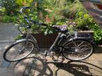 Sparta Souplesse met lage instap, 51 tot 55 cm, Ophalen, Gebruikt, Sparta