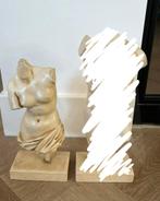Torso vrouw H 24 cm, Ophalen of Verzenden, Zo goed als nieuw, Mens