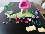 Super leuke set Playmobil 6055 feeën paddenstoel 10 euro, Kinderen en Baby's, Speelgoed | Playmobil, Complete set, Ophalen of Verzenden