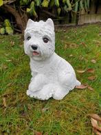 boemer hond , beeld , aanbieding, Ophalen of Verzenden, Nieuw, Dier