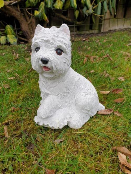 boemer hond , beeld , aanbieding, Verzamelen, Beelden en Beeldjes, Nieuw, Dier, Ophalen of Verzenden