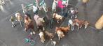 Schleich paarden en veulens, Ophalen of Verzenden, Gebruikt