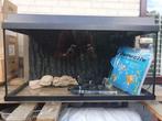 JUWEL aquarium met toebehoren, Dieren en Toebehoren, Vissen | Aquaria en Toebehoren, Ophalen, Zo goed als nieuw, Leeg aquarium