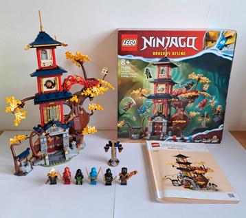 LEGO Ninjago Tempel van de drakenenergiekernen 71795 beschikbaar voor biedingen