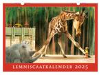 Gezocht Lemniscaat kalenders / Lemniscaatkalenders, Diversen, Kalenders, Verzenden, Maandkalender