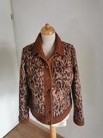 Tramontana nieuw jasje maat XL, Ophalen of Verzenden, Nieuw, Maat 46/48 (XL) of groter