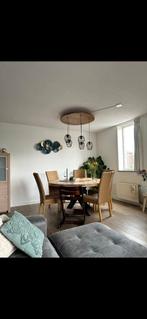 Hanglamp, Ophalen, Zo goed als nieuw, Minder dan 50 cm