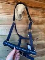 Nieuw! HV Polo halster maat cob, Dieren en Toebehoren, Paarden en Pony's | Hoofdstellen en Tuigage, Ophalen, Nieuw, Overige soorten